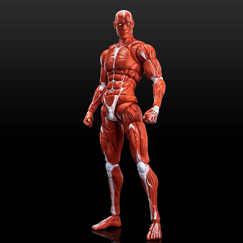 KEEPGOING 1/12 Modelo de músculo humano Muñeca súper móvil Versión en color rojo