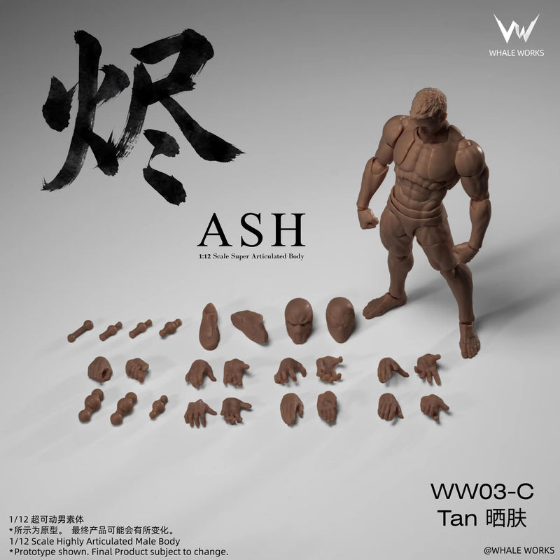 Whale Works 1/12 WW03C Super Articulated Male Body Ash Tan Skin Version