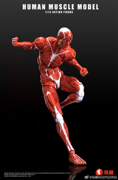 KEEPGOING 1/12 Human Muscle Model Super Movable Doll Red Color Version