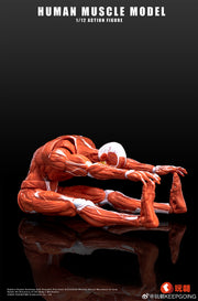 KEEPGOING 1/12 Menschliches Muskelmodell Super bewegliche Puppe Rote Farbversion