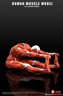 KEEPGOING 1/12 Human Muscle Model Super Movable Doll Red Color Version