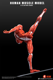 KEEPGOING 1/12 Menschliches Muskelmodell Super bewegliche Puppe Rote Farbversion