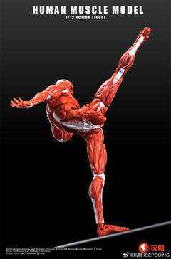 KEEPGOING 1/12 Human Muscle Model Super Movable Doll Red Color Version