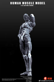 KEEPGOING 1/12 Human Muscle Model Super Movable Doll Black Color Version