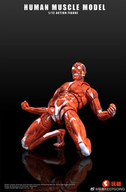 KEEPGOING 1/12 Menschliches Muskelmodell Super bewegliche Puppe Rote Farbversion