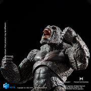 Figura de acción HIYA Exquisite Basic Series de 6 pulgadas sin escala GODZILLA VS KONG Kong