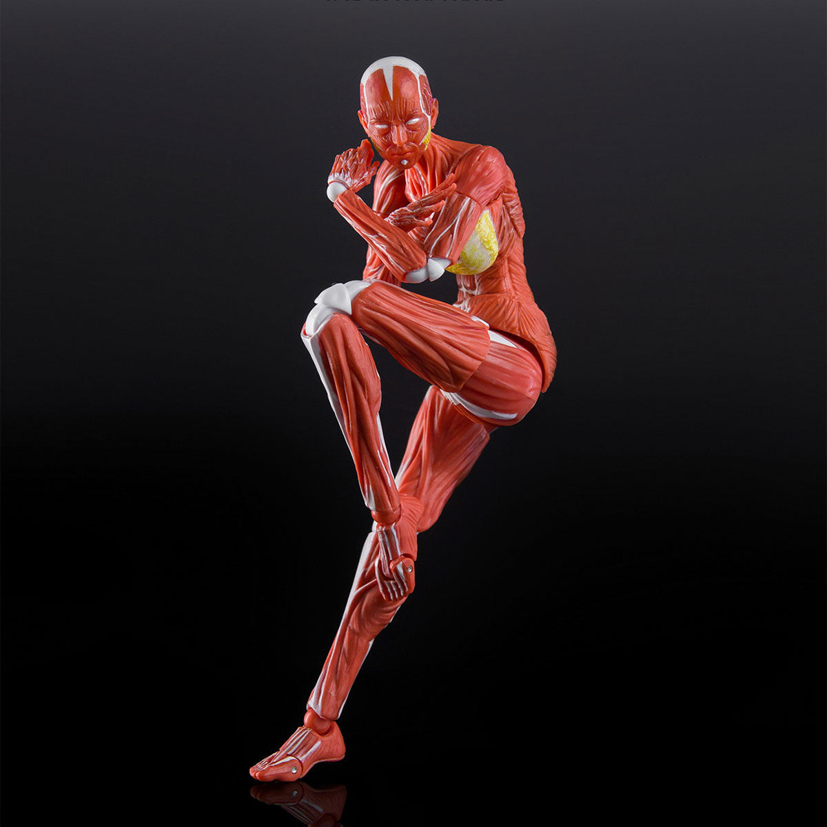 [Pre-Order] KEEPGOING 1/12 Human Female Muscle Model Super Movable Doll Red Color Ver.