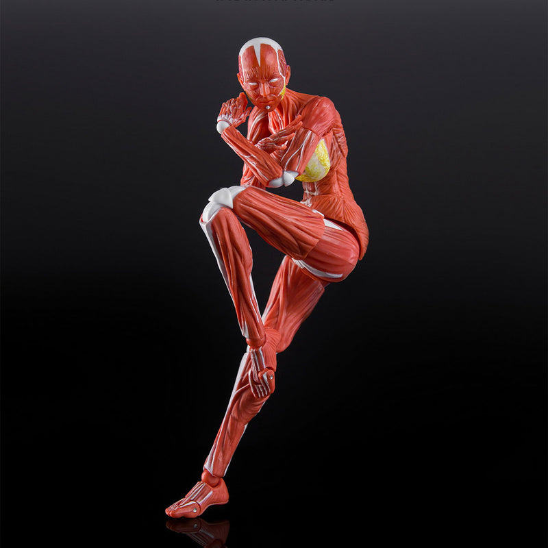 [Pre-Order] KEEPGOING 1/12 Human Female Muscle Model Super Movable Doll Red Color Ver.