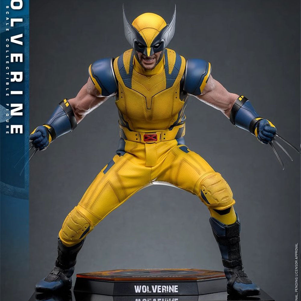 Hot Toys 1/6 MMS753 Deadpool & Wolverine Wolverine Standard Version