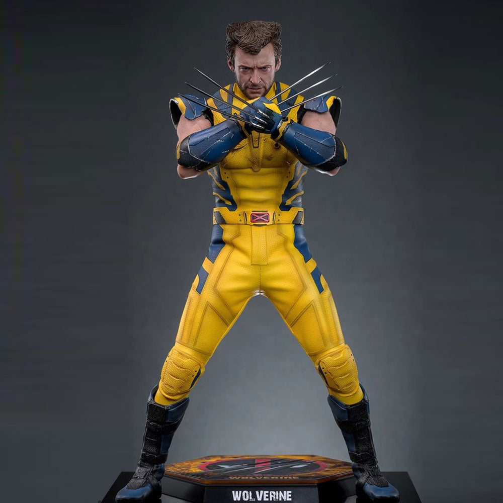 Hot Toys 1/6 MMS754 Deadpool & Wolverine Wolverine Deluxe Version
