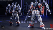 Modelo CangDao 1/100 CD-TG01 Tianwei