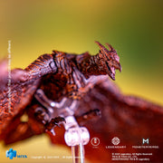 HIYA Exquisite Basic Series Figura de acción de Godzilla, el rey de los monstruos, Rodan, de 5 pulgadas, sin escala