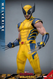 Hot Toys 1/6 MMS753 Deadpool & Wolverine Wolverine Standard Version