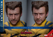 Hot Toys 1/6 MMS754 Deadpool & Wolverine Wolverine Deluxe Version