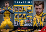 Hot Toys 1/6 MMS754 Deadpool & Wolverine Wolverine Deluxe Version
