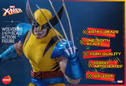 Figura de acción de Lobezno de X-Men de Hot Toys Hono Studio 1/6 HS01