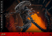 [Reserva anticipada] Hot Toys 1/6 MMS784 Alien: Romulus Scorched Xenomorph