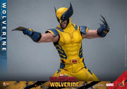 Hot Toys 1/6 MMS753 Deadpool & Wolverine Wolverine Standard Version