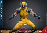 Hot Toys 1/6 MMS753 Deadpool & Wolverine Wolverine Standard Version