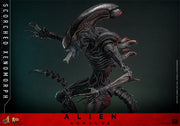 [Reserva anticipada] Hot Toys 1/6 MMS784 Alien: Romulus Scorched Xenomorph