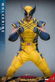 Hot Toys 1/6 MMS753 Deadpool & Wolverine Wolverine Standard Version