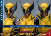 Hot Toys 1/6 MMS754 Deadpool & Wolverine Wolverine Deluxe Version
