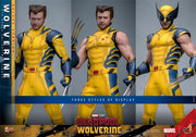 Hot Toys 1/6 MMS754 Deadpool & Wolverine Wolverine Deluxe Version