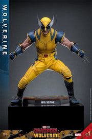 Hot Toys 1/6 MMS753 Deadpool & Wolverine Wolverine Standard Version