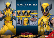 Hot Toys 1/6 MMS753 Deadpool & Wolverine Wolverine Standard Version