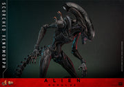 [Reserva anticipada] Hot Toys 1/6 MMS784 Alien: Romulus Scorched Xenomorph