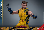 Hot Toys 1/6 MMS754 Deadpool & Wolverine Wolverine Deluxe Version