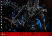 [Reserva anticipada] Hot Toys 1/6 MMS784 Alien: Romulus Scorched Xenomorph