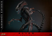 [Reserva anticipada] Hot Toys 1/6 MMS784 Alien: Romulus Scorched Xenomorph