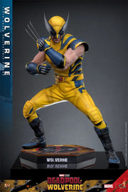 Hot Toys 1/6 MMS753 Deadpool & Wolverine Wolverine Standard Version