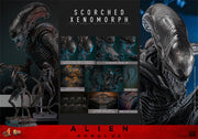 [Reserva anticipada] Hot Toys 1/6 MMS784 Alien: Romulus Scorched Xenomorph
