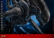 [Reserva anticipada] Hot Toys 1/6 MMS784 Alien: Romulus Scorched Xenomorph