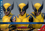 Hot Toys 1/6 MMS753 Deadpool & Wolverine Wolverine Standard Version