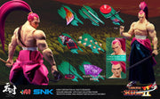 [Vorbestellung] Tunshi Studio 1/6 TS-017 SNK-Samurai Shodown Genjuro Kibagami