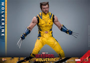 Hot Toys 1/6 MMS754 Deadpool & Wolverine Wolverine Deluxe Version