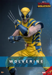 Hot Toys 1/6 MMS753 Deadpool & Wolverine Wolverine Standard Version