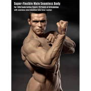1/6 TBLeague Phicen Male Body Collection M30 M31 M32 M33 M34 M35 M36A M36B