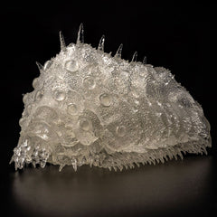 Sentinel Toys Nausicaa of the Valley of the Wind Ohmu（small-scale）