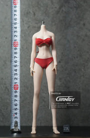 1/6 Phicen TBleague Female body Collection - S02A S06B S09C S12D S17B S19B S21B S23B S29B S33B S35B S37A S39A S43A