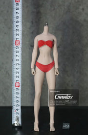 1/6 Phicen TBleague Female body Collection - S02A S06B S09C S12D S17B S19B S21B S23B S29B S33B S35B S37A S39A S43A