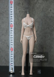1/6 Phicen TBleague Female body Collection - S02A S06B S09C S12D S17B S19B S21B S23B S29B S33B S35B S37A S39A S43A