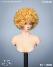 1/6 YMTOYS YMT032 Arthur Afro Hair head sculpt H#Suntan