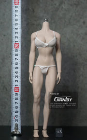 1/6 Phicen TBleague Female body Collection - S02A S06B S09C S12D S17B S19B S21B S23B S29B S33B S35B S37A S39A S43A