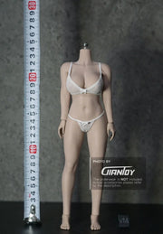 1/6 Phicen TBleague Female body Collection - S02A S06B S09C S12D S17B S19B S21B S23B S29B S33B S35B S37A S39A S43A