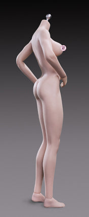 Tbleague Super-Flexible Mujer sin costuras escala 1/6 pálido busto medio cuerpo alto (S24A) 