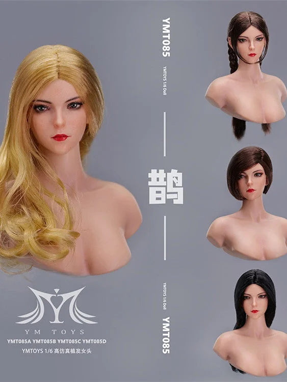 1/6 YMTOYS YMT085 cabeza esculpir